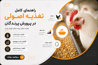 راهنمای کامل تغذیه اصولی در پرورش پرندگان و طیور